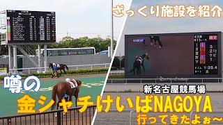 【金シャチけいばNAGOYA】【名古屋競馬】　新設して1ケ月ちょい噂の新名古屋競馬に行ってみたWW　ざっくり新しい名古屋競馬をご紹介します！！