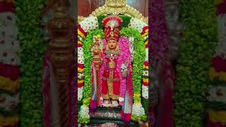 muruga#muruganwhatsappstatustamil #murugasongs #murugansongs #muruganthunai #saravanabava