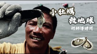 柯師傅時間｜小牡蠣救地球