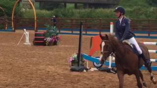 Shannondale Brendy \u0026 robyn moran 148 6/7 year old RDS qualifier the meadows clear 2017