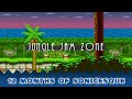 Jungle Jam Zone | 12 Months of Sonicesque