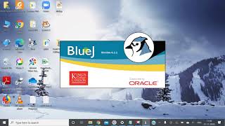 Java Programs using Ternary Operators Class 8