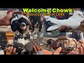 welcome chowk kabutar market Delhi pigeon market gole Kabootar madrasi fancy