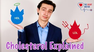 Cholesterol Explained in 5 Minutes ⏱️