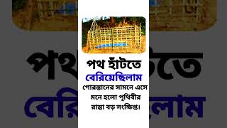 গোরস্থানের সামনে এসে মনে হলো#কবরস্থান #koborer_ajab #islam #shortsfeed #foryou #viralvideo #shorts