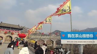 大年初一逛茶山#祝大家2023年兔年大吉 #温暖平安过大年