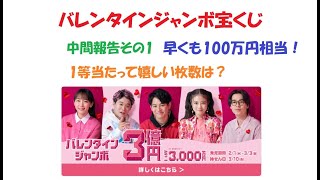 【3000枚】バレンタインジャンボ宝くじ2023 共同購入中間報告その1＆ 何枚のグループが当たって嬉しい？