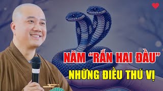 Những Điều Chưa Từng Được Biết Về Năm Rắn Hai Đầu Ất Tỵ 2025 - Pháp Thoại Thầy Thích Pháp Hòa