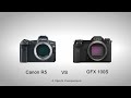 Canon R5 vs Fujifilm GFX 100S Comparison