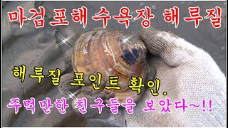 안면도 마검포 해수욕장 해루질 + 해루질 포인트 확인~주먹만한 친구들을 보았다.(shell digging)