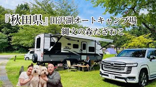 ［田沢湖］さくら、きなこちゃんを遊ばせよう❣️秋田県田沢湖オートキャンプ場にて！#車中泊 #ランクル300