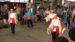 讃岐踊らんな連（よさこい2018 全国大会・帯屋町筋）