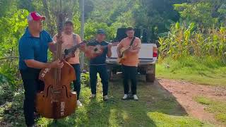 La mujer de chon-grupo Los Jilgueros de heramón 😍🍾💃