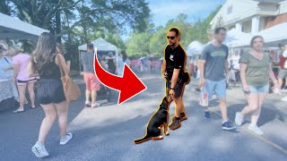 Training a Hound Dog in a Sea of People and Dogs