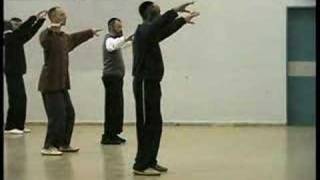 Chen Pan Ling Tai Chi Form (1st part)