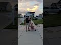 2 year old girl with spina bifida holds dad s hand and walks for the first time disability