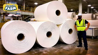 Mind-Blowing Toilet Paper Manufacturing: INSANE Paper Rolls Production