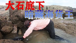 半島潮底大浪波濤洶湧，美味海貨被滯留水坑中，阿灶直接一鍋端