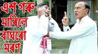 এশ গৰু মাৰিলে বাঘৰো মৰণ................