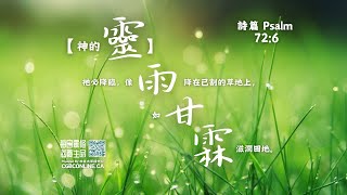 【食得是福，民數記11章4節】（廣東話、粵語）2025 1 14