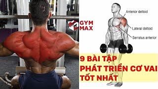 9 BÀI TẬP VAI TO NHANH NHẤT CHO DÂN THỂ HÌNH || GYM MAX