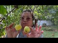 NurseNora picks fruit in her backyard: watch until the end for surprise
