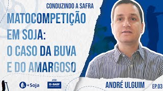 Perdas por matocompetição: o caso da buva e do amargoso