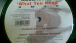 Powerhouse feat Duande Harden-What you need (Richard F Dub) 1999.