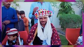 Jahro Har Tokhi Wani  Mumtaz Molai New Album 56 | Sindhi New Song , Sindhi Shadi 2023 video Song