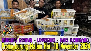 PROMO BURUNG SEPESIAL MALAM HARI !!! BURUNG KENARI - LOVEBIRD - ANIS KEMBANG DLL