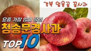 2024년 가격이 착한! 청송문경사과! 베스트 TOP10! 가격 평점 리뷰 후기 총정리!!