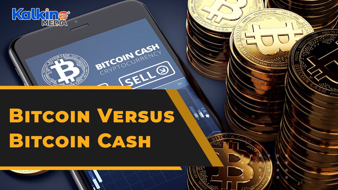 What Is Difference Between Bitcoin And Bitcoin Cash? - YouTube