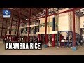 Anambra Govt Commissions Coscharis Ultra Mordern Rice Mill