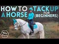 How to TACK UP a HORSE, Parts of the Saddle + Putting a Bridle Together AD This Esme