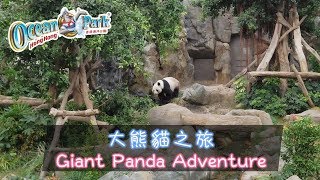 Hong Kong Ocean Park - Giant Panda Adventure | [4K]