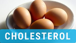 The Shocking Truth About Cholesterol