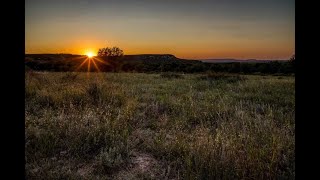 Buck Canyon Ranch | Capitol Ranch Real Estate