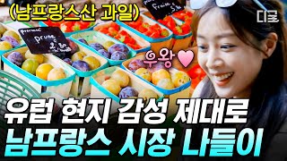 [#텐트밖은유럽남프랑스] 시장 털이 사건🍅 밥 먹은 지 한 시간도 안 된 멤버들이 시장에서 야채 과일 털고, 아이스크림 먹으며, 우정 팔찌를 나눠 낀 사건이다. | #인기급상승