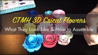 CTMH 3D Cricut Flowers - What They Look Like \u0026 How to Assemble