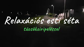 Relaxációs pihentető esti séta tücsökciripeléssel alváshoz