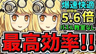 【最高効率】経験値5.6倍！両サレ裏修羅！パズル教室なし 6-8分台！ランク上げ編成！代用・立ち回り解説！サレサレ裏修羅！【パズドラ】