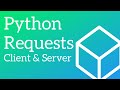 Python Requests [Everything you need to get started]