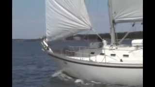 SAGA Sailing Adventures Charlottetown, PEI CANADA