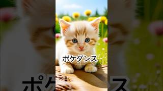 #かわいい猫 #cat #猫 #ねこ #こねこ #ねこのいる生活 #ねこ動画 #うたってみた #かわいい