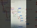 usdjpy 11 to 15 mar 2024 american weekly forex forecast forexanalysis weeklyforexforecast gold