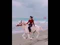 beautiful horse on a horse 😅🥰🥰 shorts love lovestory loveyou