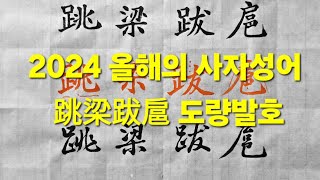 2024 올해의 사자성어 跳梁跋扈 도량발호/제멋대로 권력을 부리며 함부로 날뛰다