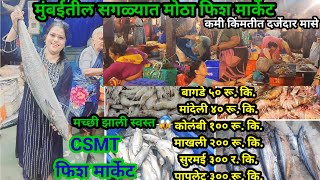 ५०रू.किलोने मासे 😱 | मुंबईतील सगळ्यात मोठा होलसेल फिश मार्केट | CSMT Fish Market in Mumbai | Fish