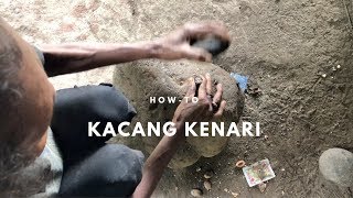 How to Harvest Kenari Nuts (Alor Island) | Indonesian food