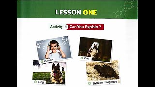 Grade4 LESSON 1 Concept1.2 (1.2)شرح الدرس الاول ساينس سنة رابعة كونسيبت